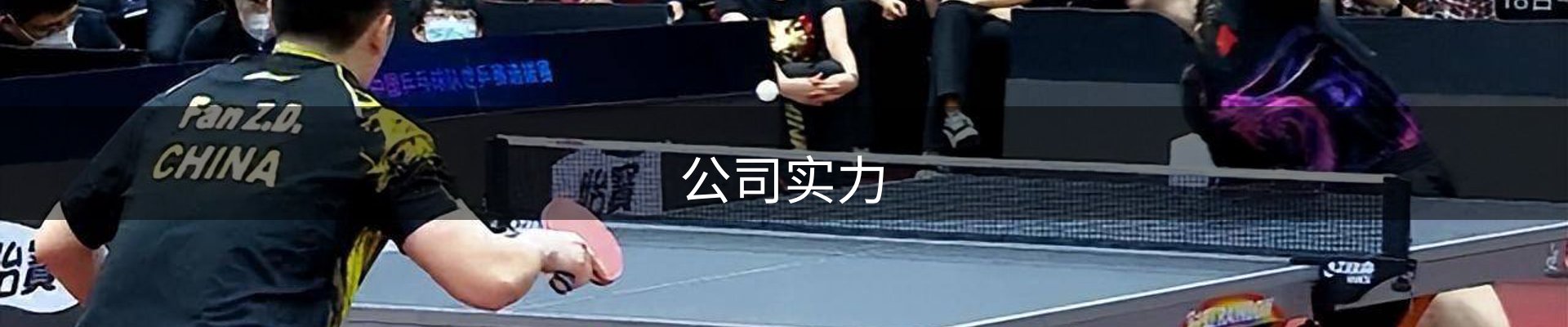公司实力